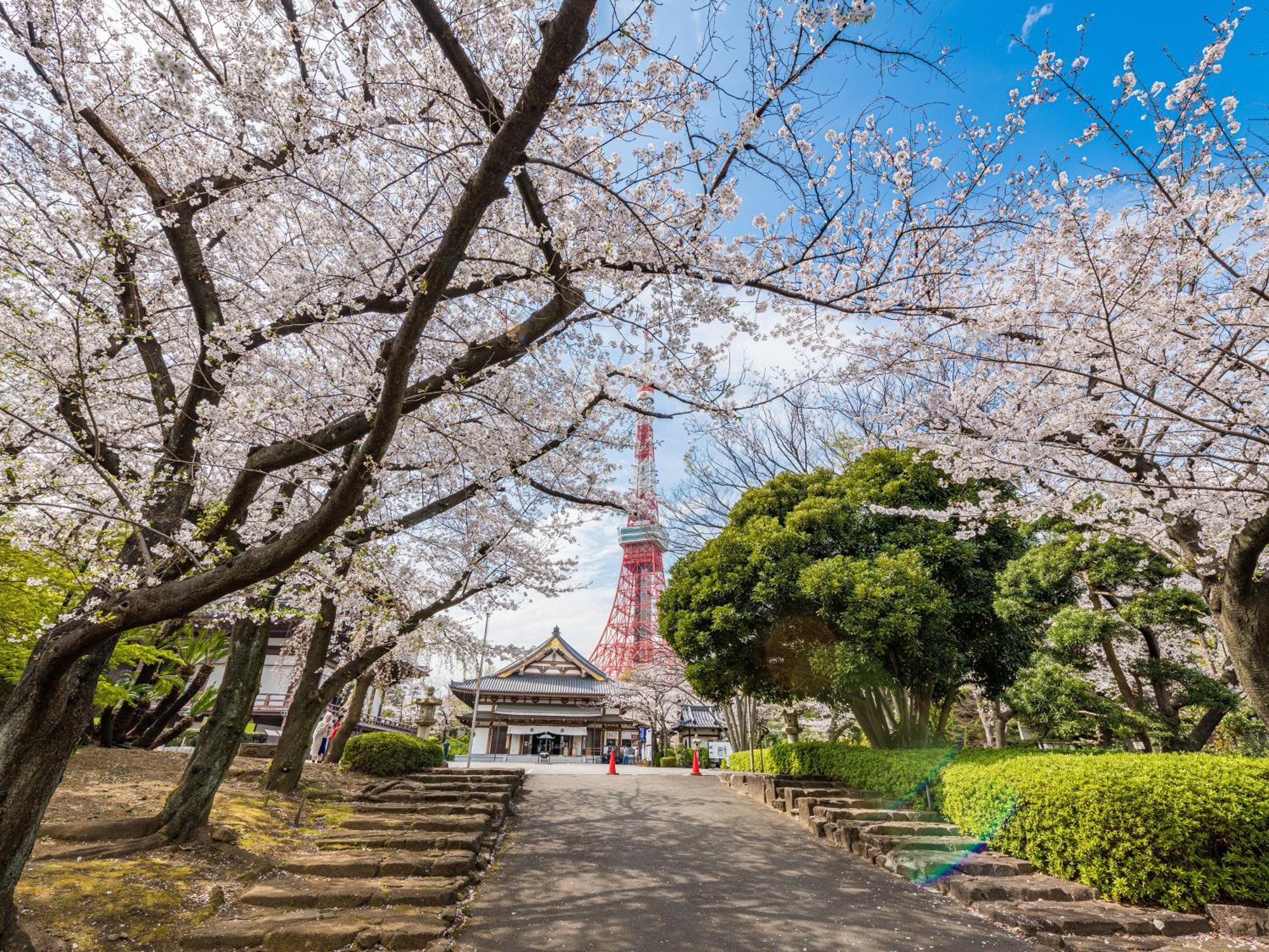 Готель Illi Surp Shiba-Park Токіо Екстер'єр фото